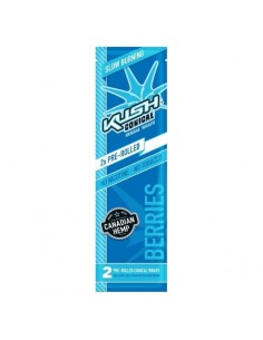 Kush cone Berries (Arándanos) x2