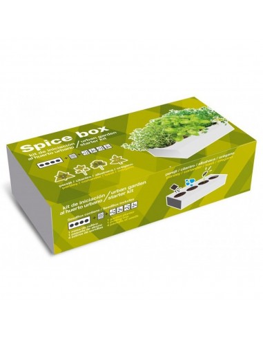 SeedBox SpiceBox